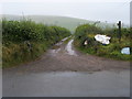 Track to Blaenllechan