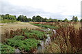 Flood protection channel, Fordingbridge, Hampshire