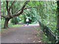 The Wandle Trail through Ravensbury Park