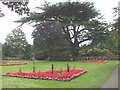 The gardens at Insole Court, Cardiff