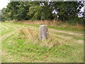 TM3566 : Trig Point by Geographer