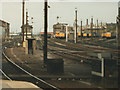 Leicester diesel depot, 1985