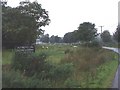 Sheep on common land, Heol Wastadwaun, Pencoed