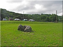 SN0038 : Public lawn at Dinas Cross by C Michael Hogan