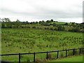 Mulrod Townland