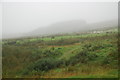 Rough grazing, Barr Glen, Kintyre