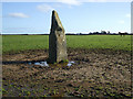 SW7721 : The Long Stone at Tremenhere Farm by Michael Murray