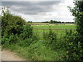 TR2540 : Gateway to field near Capel Church Farm by Nick Smith