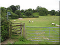 Footpath to Hartpury