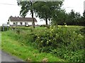 Lisreagh Townland