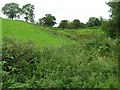 Woaghternerry Townland