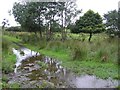 Ballydoolagh Townland