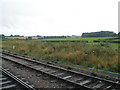 Looking towards Datcham Covert at Bishops Lydeard Station