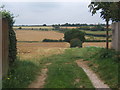 Footpath north from Shotley