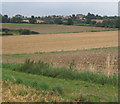 Open fields looking towards Shotley Church End