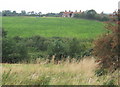 View to cottages on Wade