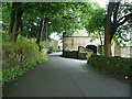 Road through Sherfin Nook