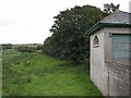 Field at Instow