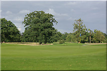 SU6765 : Wokefield Park Golf Course by Stephen McKay