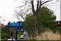 Thomas The Tank Engine crossing Drumachlie Loan Bridge, Brechin