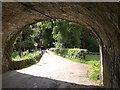 Bridges at Littlehempston