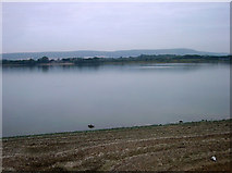 TQ5307 : Arlington Reservoir at Dusk by Simon Carey