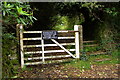 Gate south of Carn Lodge