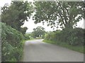 Sharp bend in the Penmynydd road