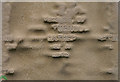 Headstone detail at Eyemouth