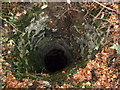 SJ1867 : Looking down open lead mine shaft, Cwt Coed by John Harrison