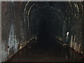 Old Talyllyn Railway Station Tunnel