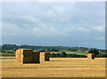 2008 : Former wheatfield near Chapmanslade