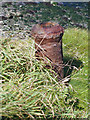 SM8533 : Old Cannon at Abercastle by Anonymous