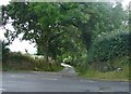 Lane to Penrallt-y-bie, Llandygwydd