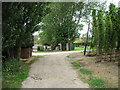 Looking W along Footpath where it joins Pedding Lane