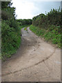 Track to Trevase Farm