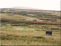 NY8344 : Middlehope Moor by Mike Quinn
