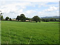 View toward Woodcroft Farms