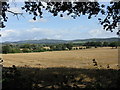 Rolling countryside near The Nelmes