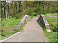 Footbridge in Cathkin Braes Country Park