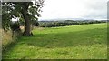 Field, Lower Auchinlay