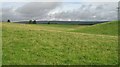 Grassland, Crofts of Cromlix