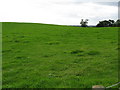 Hillside opposite Catley turning