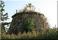 The Ninewells Doocot