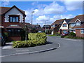 Berrybrook Meadow, Exminster