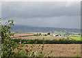 Another crop stands unharvested