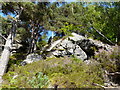 Rock outcrops at Foyers