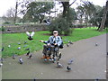 Pigeons and friend in Clarence Park, Weston-super-mare