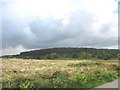 Moorland edge above Wern-y-wylan