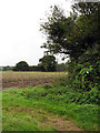 Field beside Croxton Road